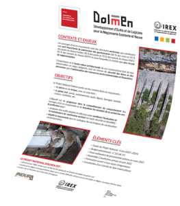 mockup flyer dolmen